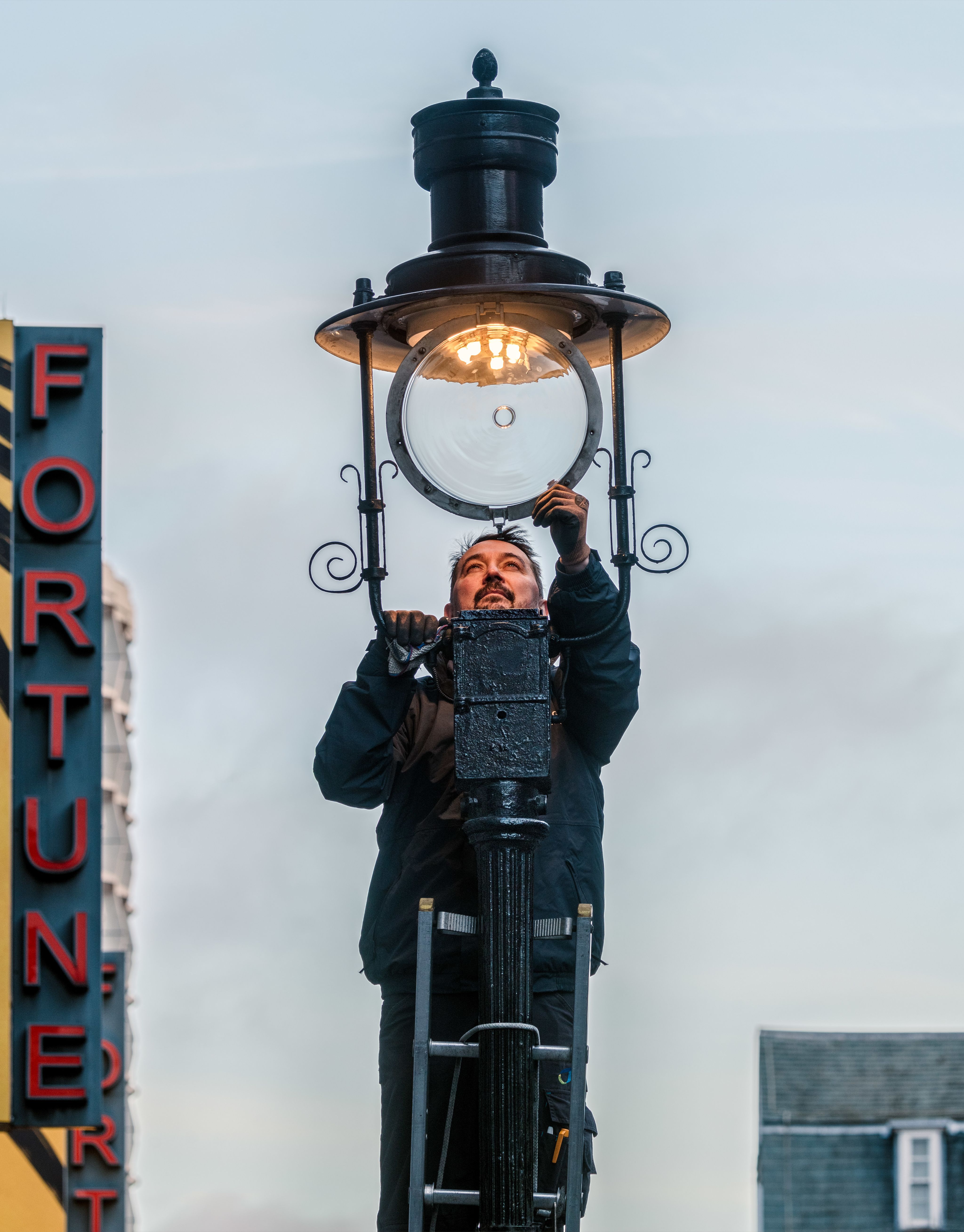 Small yellow flowers growing from stone.